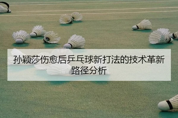 sun-ying-sha-shang-yu-hou-ping-pang-qiu-xin-da-fa-de-ji-shu-ge-xin-lu-jing-fen-xi-2-766.jpg