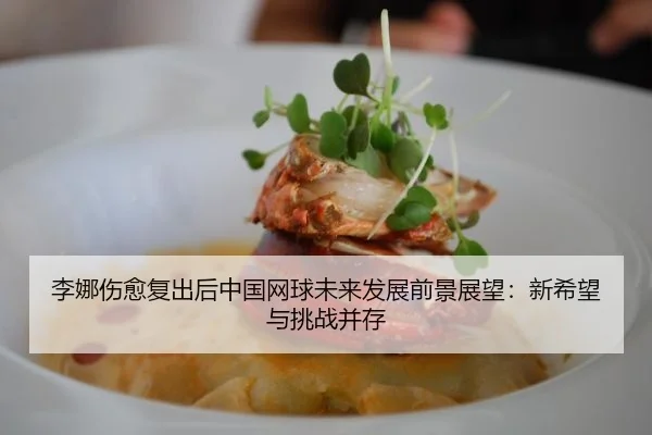 李娜伤愈复出后中国网球未来发展前景展望：新希望与挑战并存