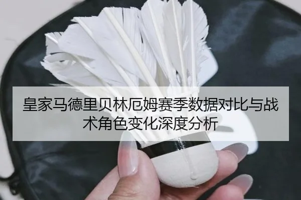 皇家马德里贝林厄姆赛季数据对比与战术角色变化深度分析