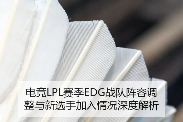 电竞LPL赛季EDG战队阵容调整与新选手加入情况深度解析
